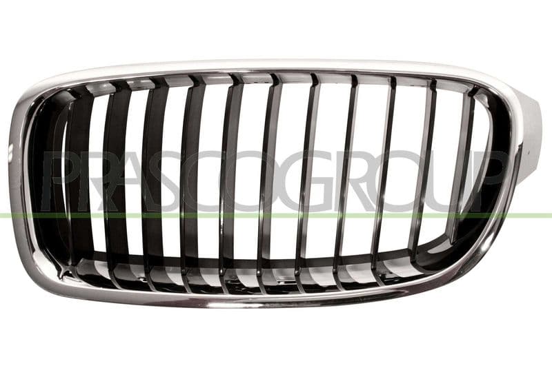 Grila radiator PRASCO Premium BM0282004
