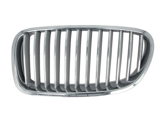Grila radiator BLIC 6502-07-0067995P