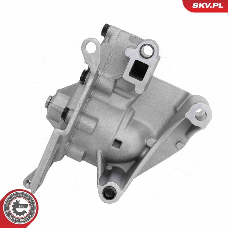 Pompa ulei ESEN SKV 77SKV050