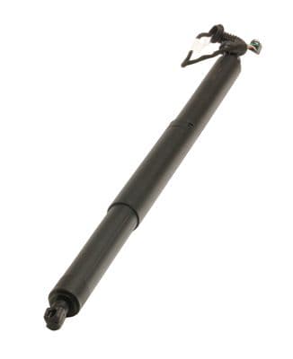 Motor electric, haion MAXGEAR 12-2556