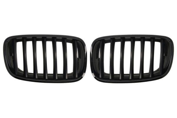 Grila radiator BLIC 6502-07-0096990KP