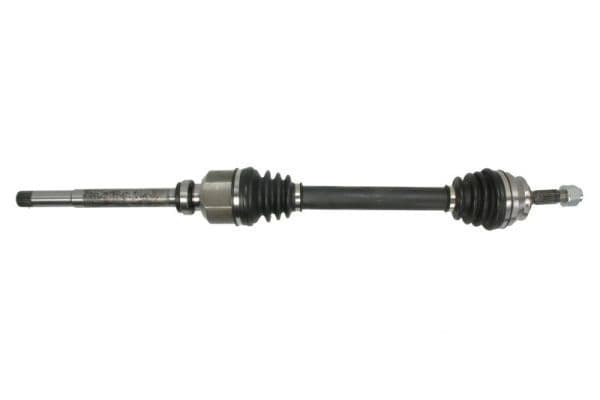 Planetara PASCAL G2C125PC