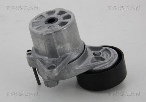 Intinzator curea, curea distributie TRISCAN 8641 233023