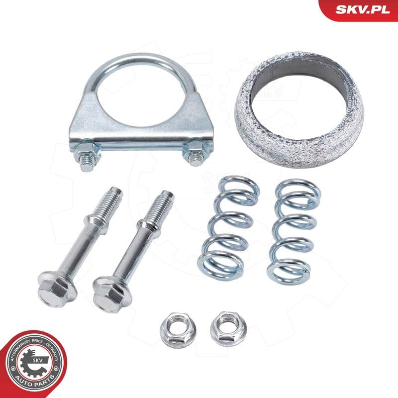 Catalizator ESEN SKV 62SKV150