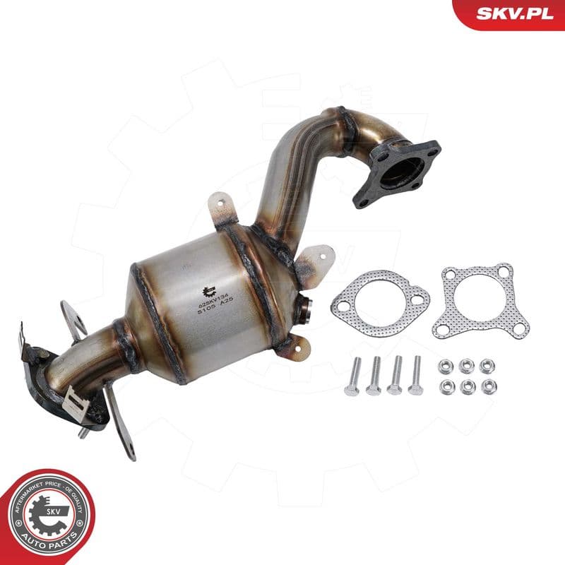 Catalizator ESEN SKV 62SKV134