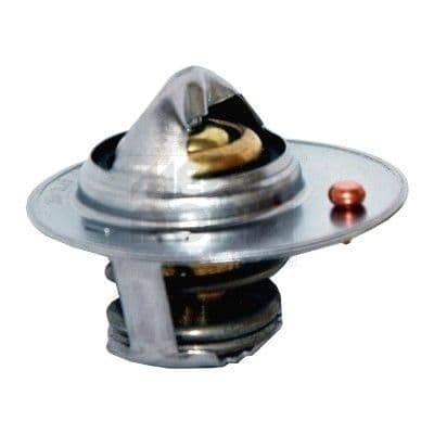 termostat,lichid racire MEAT & DORIA 92792