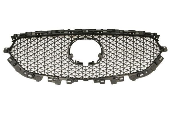 Grila radiator BLIC 6502-07-3496991P