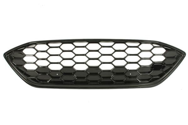 Grila radiator BLIC 6502-07-2537993P