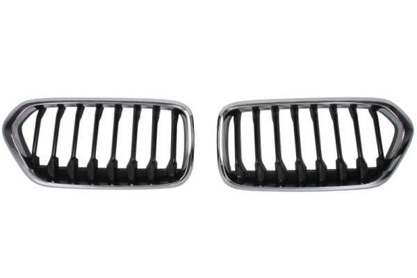 Grila radiator BLIC 6502-07-0060911P