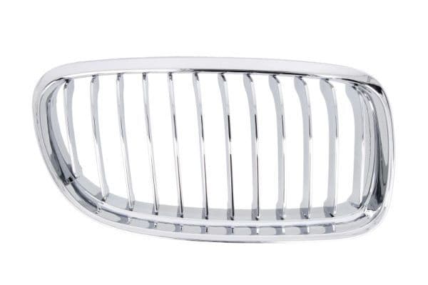 Grila radiator BLIC 6502-07-0062994PP