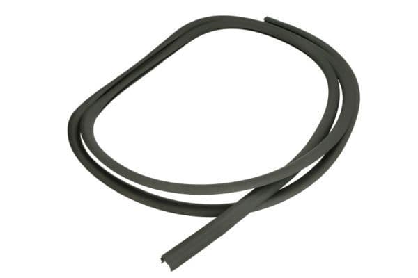 Elemente decorative/protectie, parbriz BLIC 5703-04-6037858Q