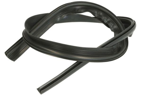 Elemente decorative/protectie, parbriz BLIC 5703-04-6037646Q