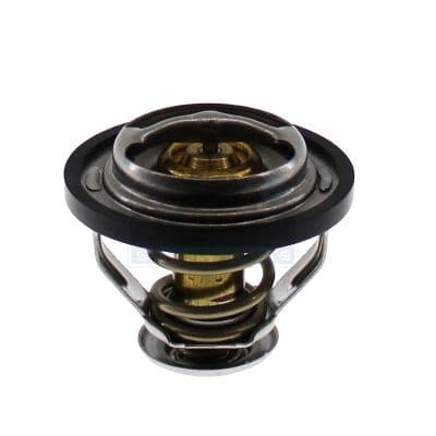 termostat,lichid racire MEAT & DORIA 92825