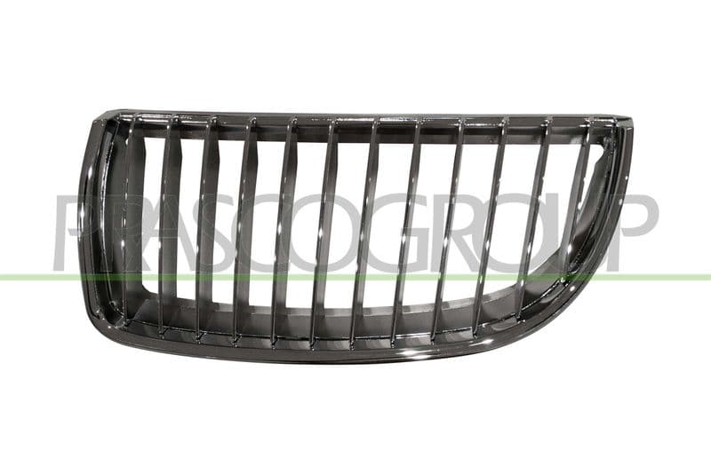Grila radiator PRASCO PremiumCertified BM0242004