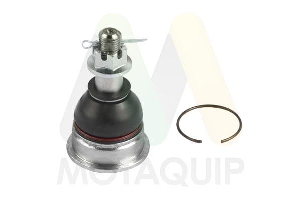 Pivot MOTAQUIP LVSJ1251