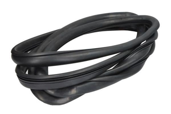 Garnitura, parbriz BLIC 5703-04-6038030Q