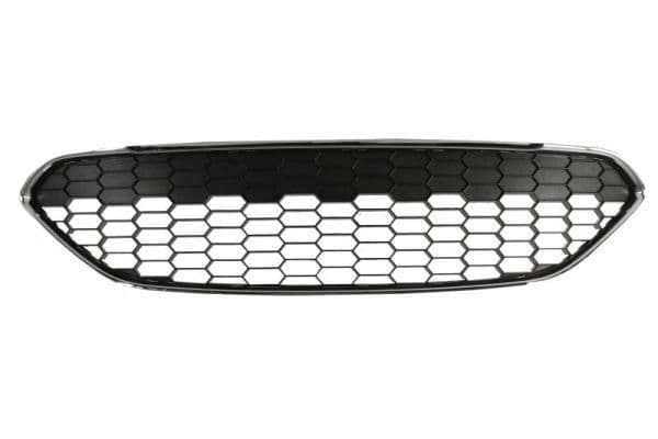 Grila radiator BLIC 6509-01-2565990Q