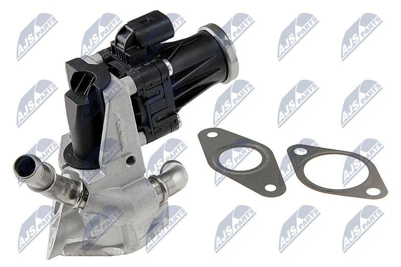 Supapa EGR NTY EGR-FR-029