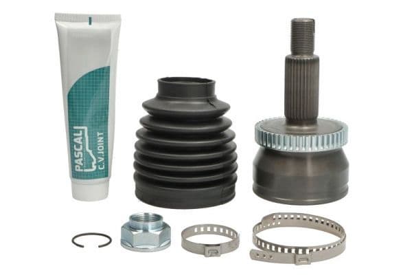 Set articulatie, planetara PASCAL G10374PC