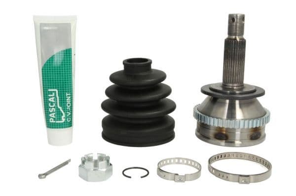Set articulatie, planetara PASCAL G10536PC