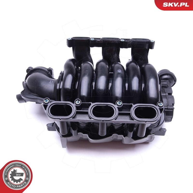 Modul conducta admisie ESEN SKV 49SKV002