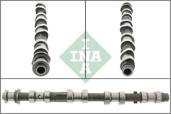 Ax cu came Schaeffler INA 428 0197 10