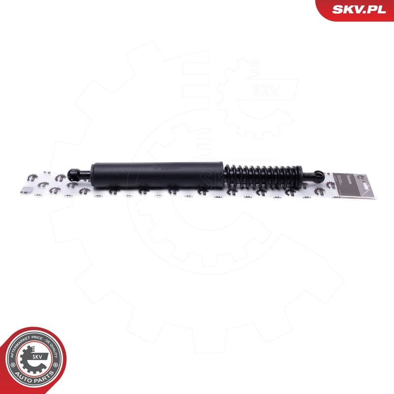 Motor electric, haion ESEN SKV 52SKV949