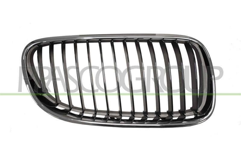 Grila radiator PRASCO BM0252043
