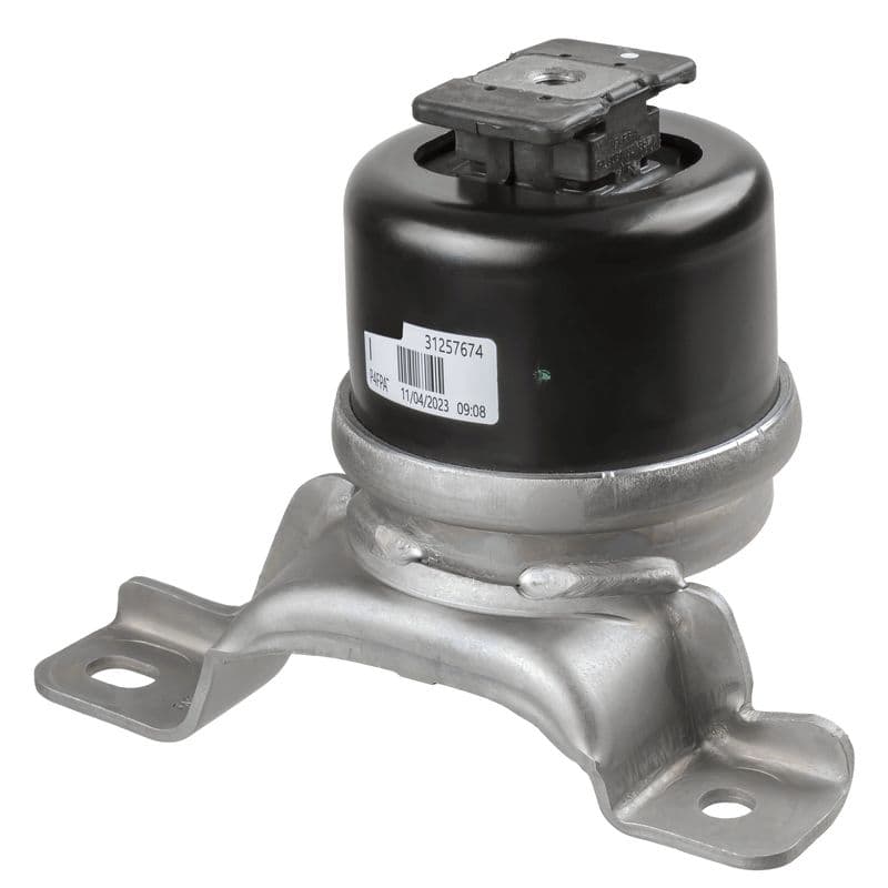 Suport motor LEMFÖRDER 43612 01