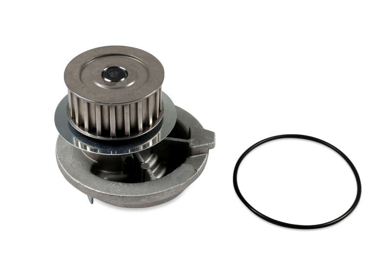 Pompă de apă, răcire motor HEPU P318