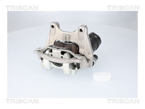 Etrier frana TRISCAN 8175 82204