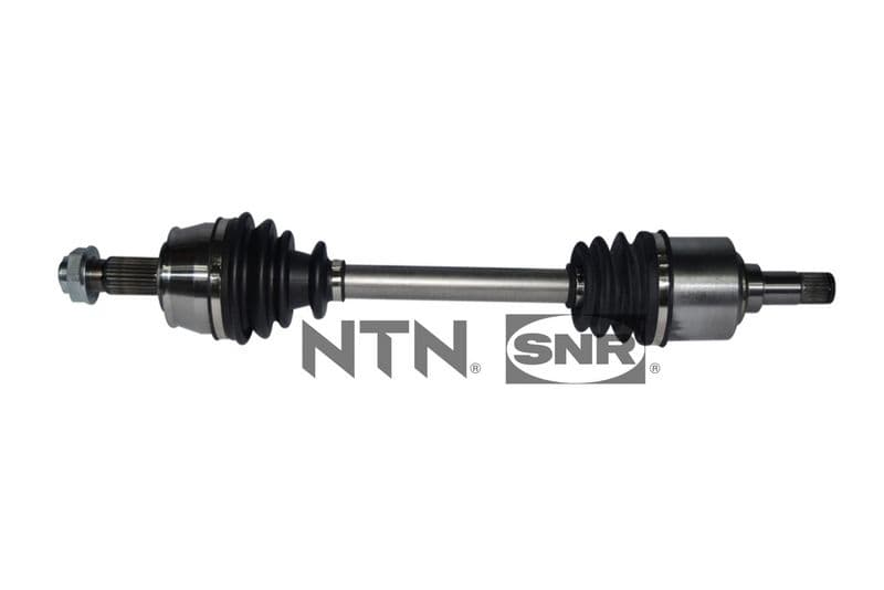 Planetara SNR DK58.015