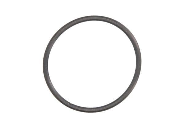 Garnitura, pompa combustibil ENGITECH ENT030017