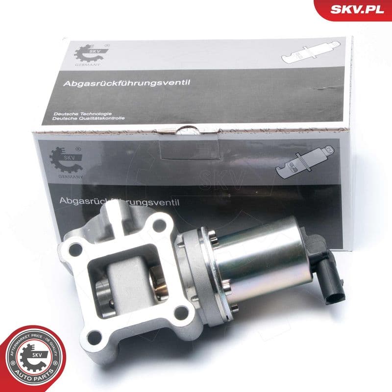 Supapa EGR ESEN SKV 14SKV099