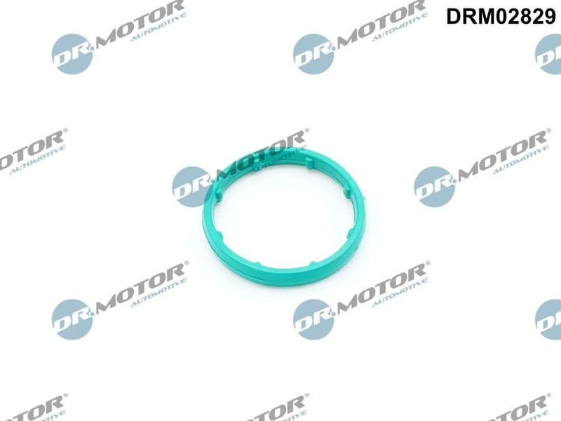 Etansare, racire ulei Dr.Motor Automotive DRM02829