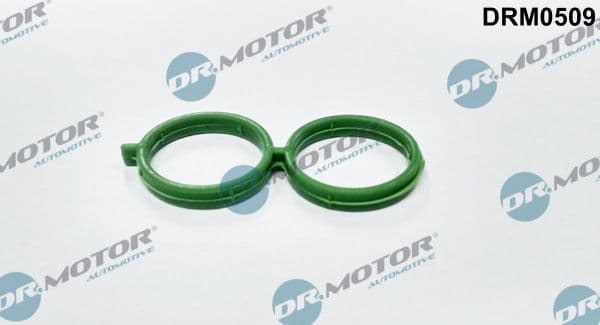 Garnit. etanșare, supapă de mers în gol (alimentare aer) Dr.Motor Automotive DRM0509