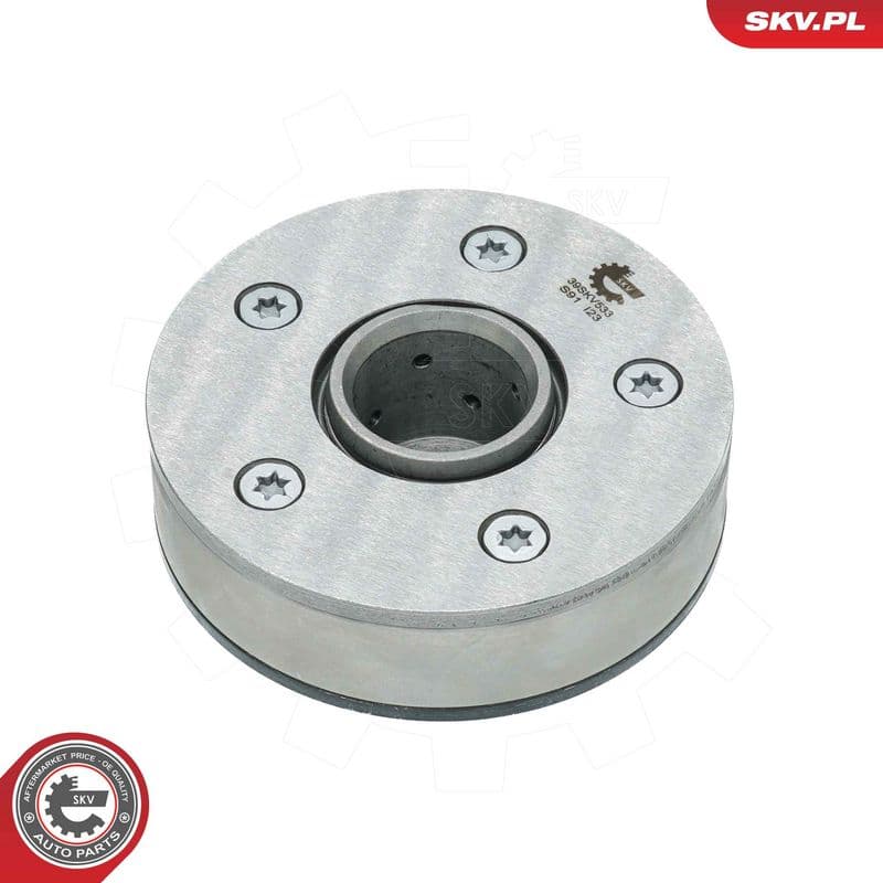 Regulator ax cu came ESEN SKV 39SKV533