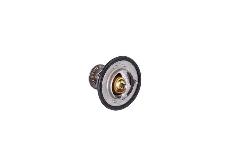 termostat,lichid racire KAMOKA 7710054