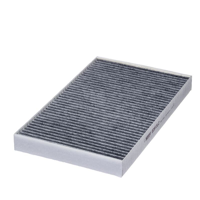 Filtru, aer habitaclu HENGST FILTER E2913LC