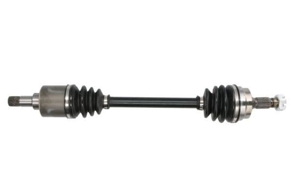 Planetara PASCAL G2P029PC