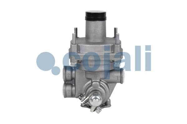 Releu, ALB COJALI 2320218
