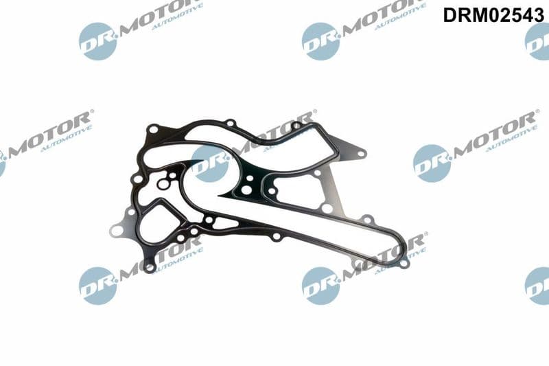 Garnitura, pompa de apa Dr.Motor Automotive DRM02543