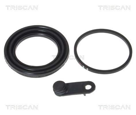 garnitura,piston etrier TRISCAN 8170 189954