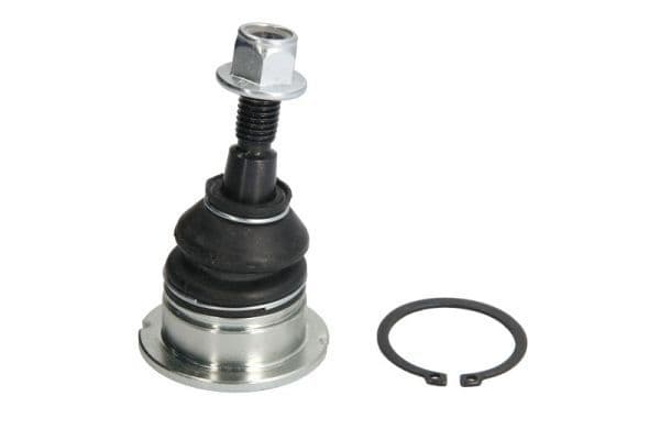 Pivot REINHOCH RH03-5012