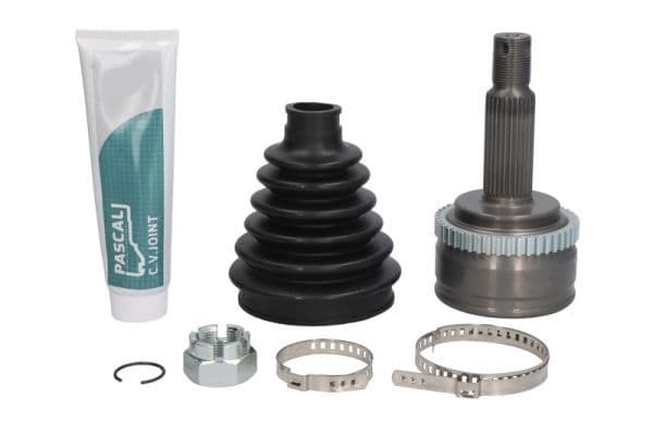 Set articulatie, planetara PASCAL G10349PC