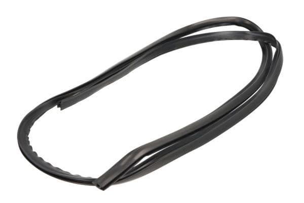 Elemente decorative/protectie, parbriz BLIC 5703-04-6037877Q