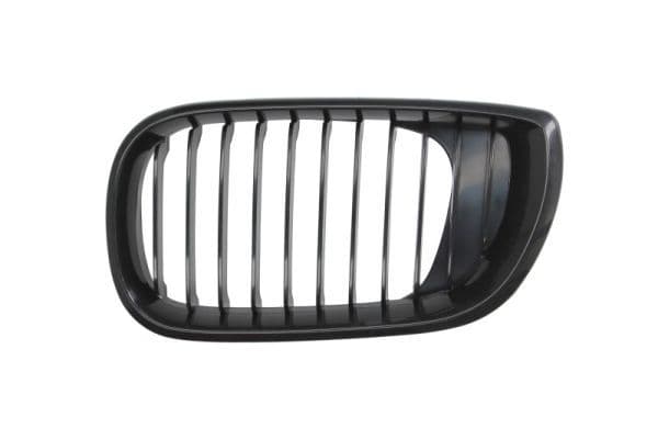 Grila radiator BLIC 6502-07-0061993BP