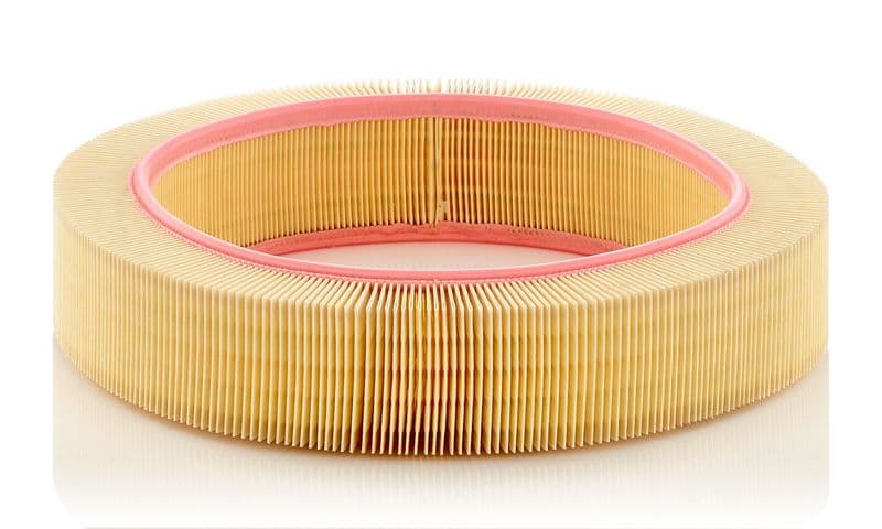 Filtru aer MANN-FILTER C 40 174