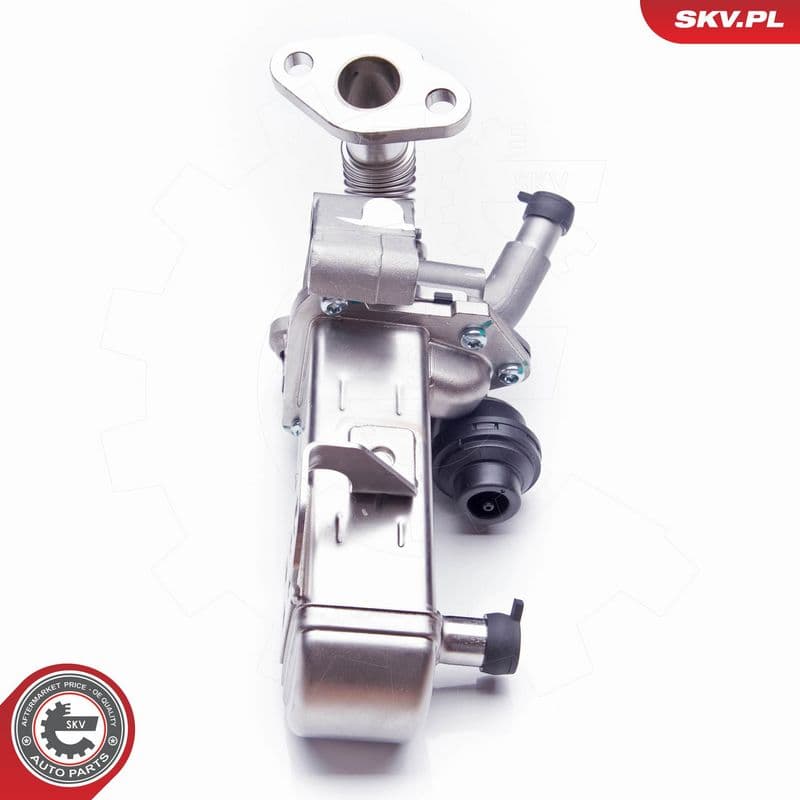 Supapa EGR ESEN SKV 14SKV135