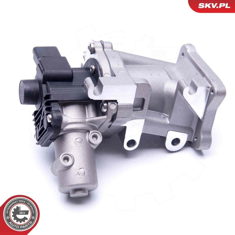 Supapa EGR ESEN SKV 14SKV171